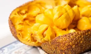 Oto wnętrze jackfruita, owocu, który wielu zastanawia: jackfruit co to? Jasnożółte, soczyste segmenty owocu są gotowe do spożycia.
