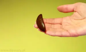 Ile kalorii ma galaretka? Od 9 do 200 kcal sprawdź!