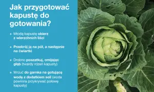 Jak ugotować młodą kapustę: obierz, przekrój, poszatkuj i wrzuć do osolonej, gotującej wody.