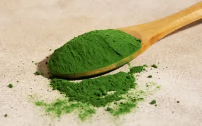 Czy spirulina jest zdrowa?