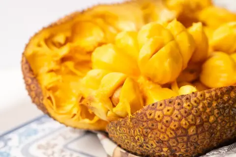 Oto wnętrze jackfruita, owocu, który wielu zastanawia: jackfruit co to? Jasnożółte, soczyste segmenty owocu są gotowe do spożycia.