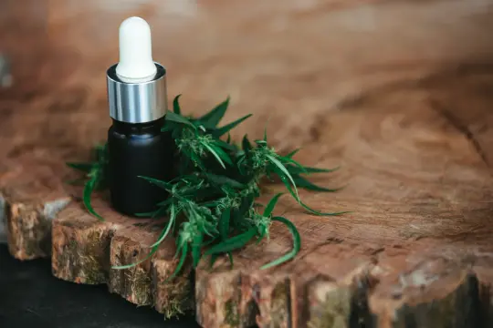 Kwiaty CBD: jakość, pochodzenie i informacje, które pomagają w wyborze