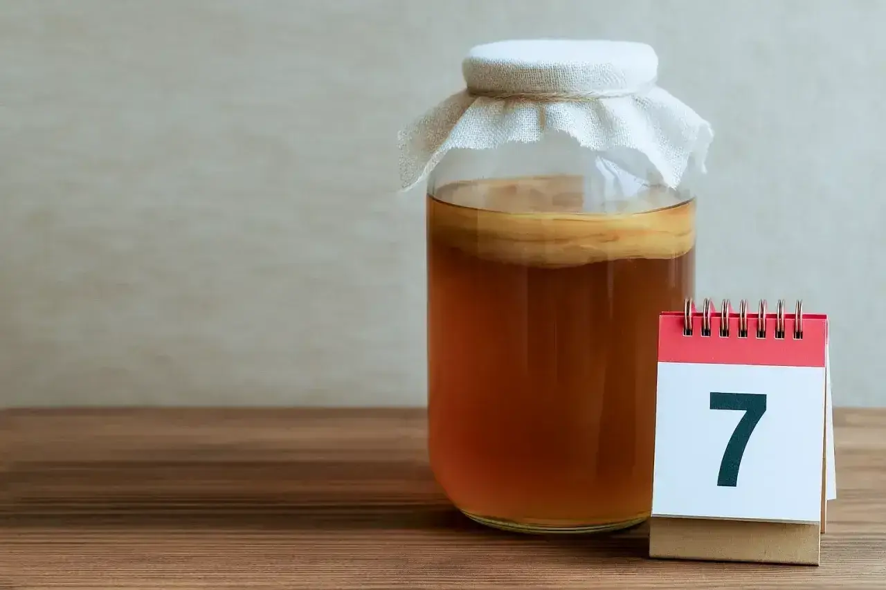 Słoik z kombuchą i kalendarz z cyfrą 7. Dzień 7 fermentacji. Kombucha co to? Napój probiotyczny.