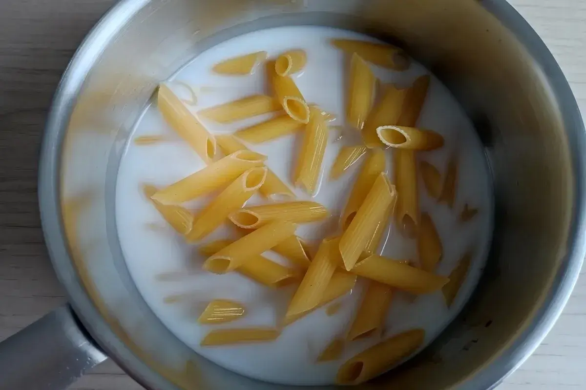 Makaron penne w mleku w garnku. Szybka zupa z makaronem gotowa do podania.