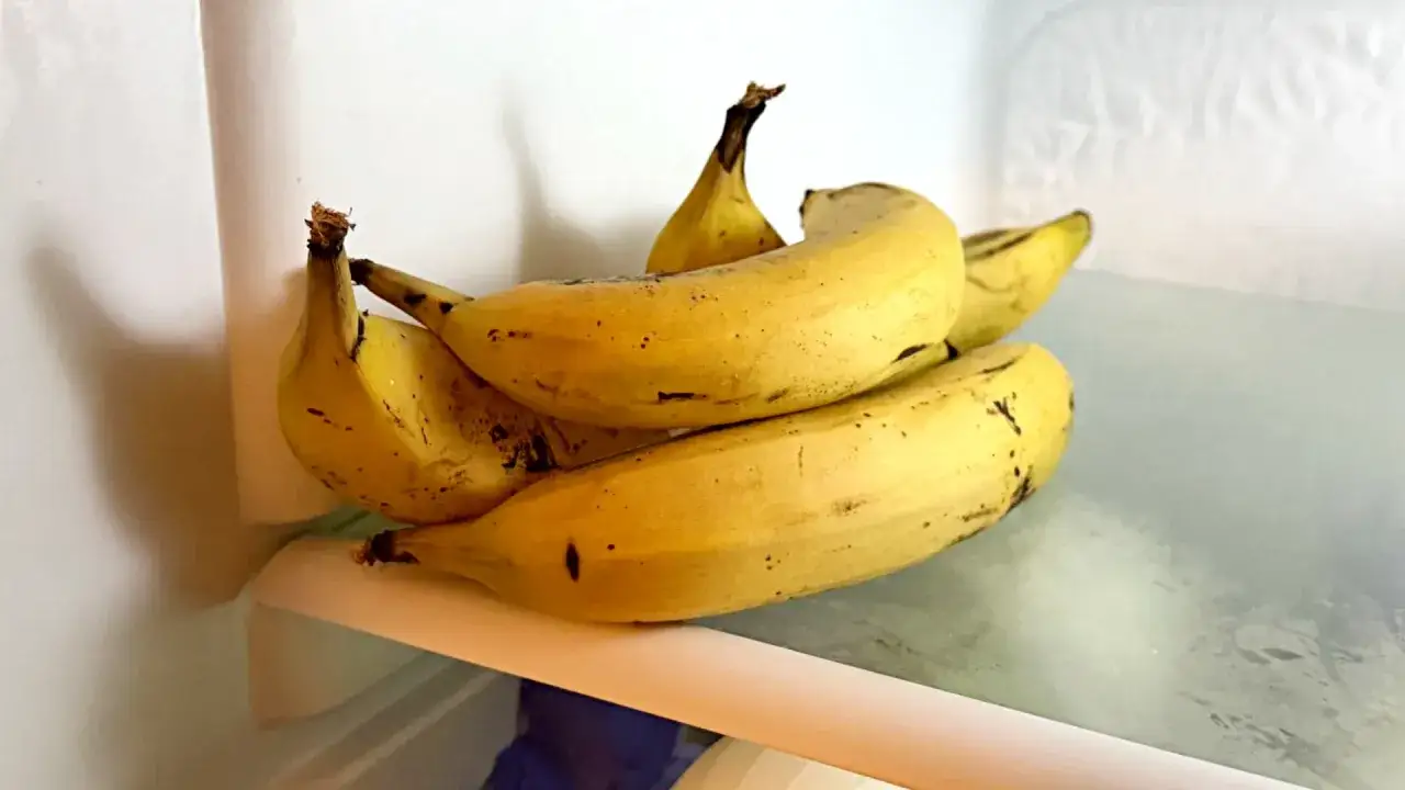Kilka żółtych bananów leży na półce w lodówce. Czy banany można trzymać w lodówce? Tak, ale skórka może ściemnieć.